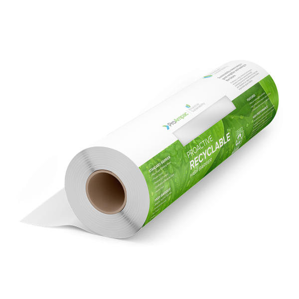 Eco-Friendly Vegetable Rolls